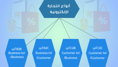 أنواع التجارة الإلكترونية