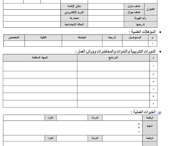 نموذج سيرة ذاتية جاهزة للطباعة